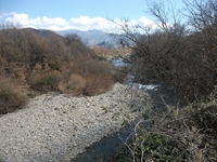 cantara piccole gole19022012 214